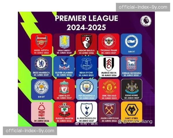 英超各俱乐部公布2024-25赛季财报，中小俱乐部财政状况普遍挣扎